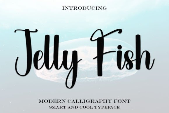Jelly Fish Font: Elevate Digital Campaigns