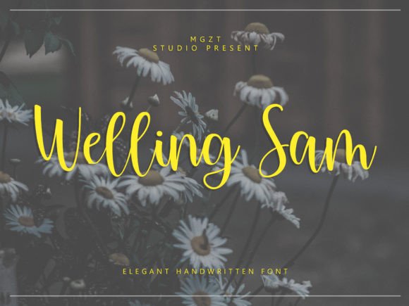 Welling Sam Font: A Designer’s Test in Brand Identity